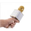 MICROPHONE WITH SPEAKERS (PORTABLE MIC)